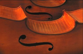 Harmony Cellos