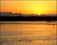Sunrise at the Bosque