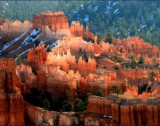 Nature's Castle