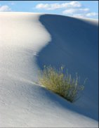 Ridgeline