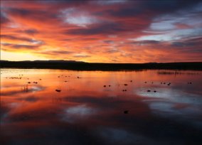 Glorious Sunrise