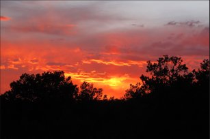 Wild Spirit Sunset