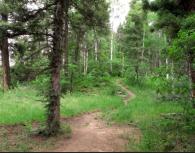 Holy Ghost Trail